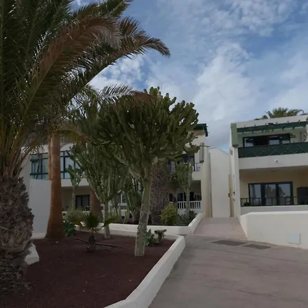 Suri קוסטה טגוויסה